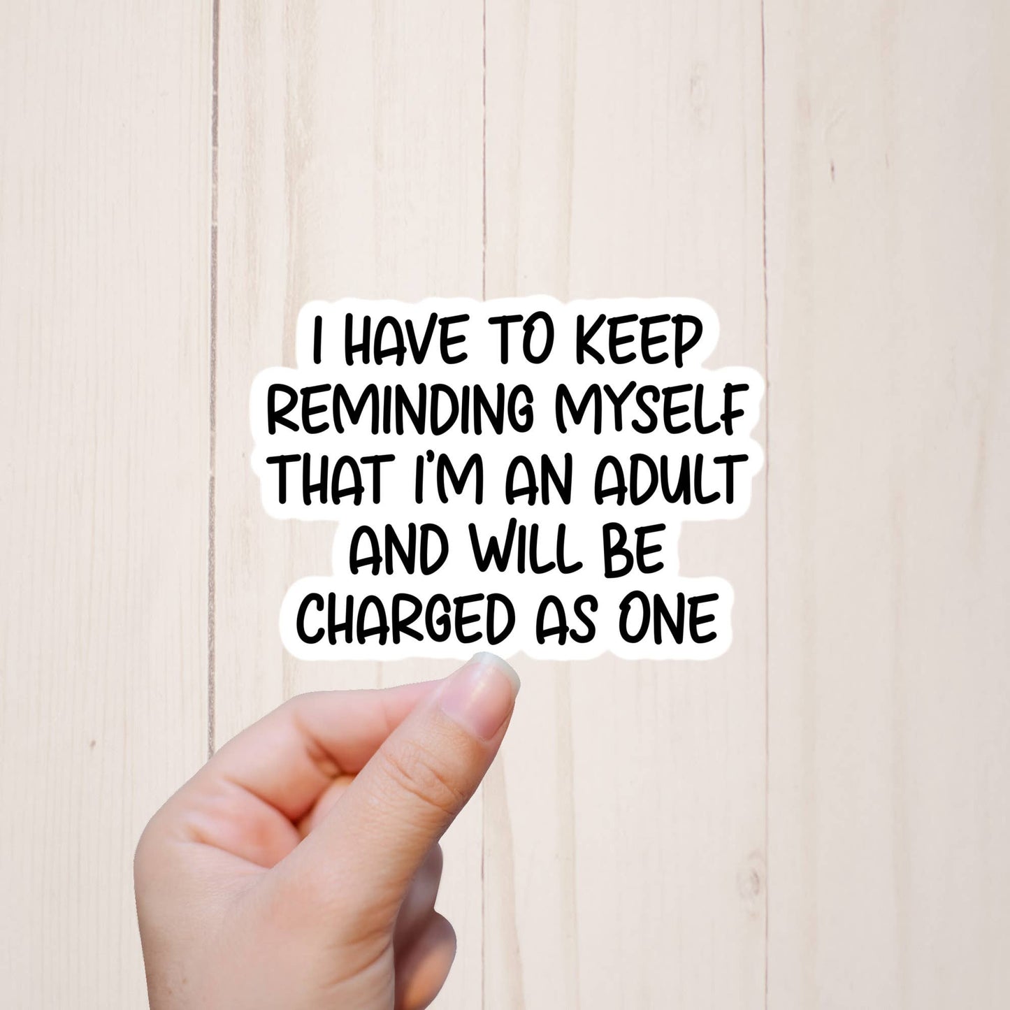 Adult Humor Stickers, Sarcastic Funny Stickers, Snarky