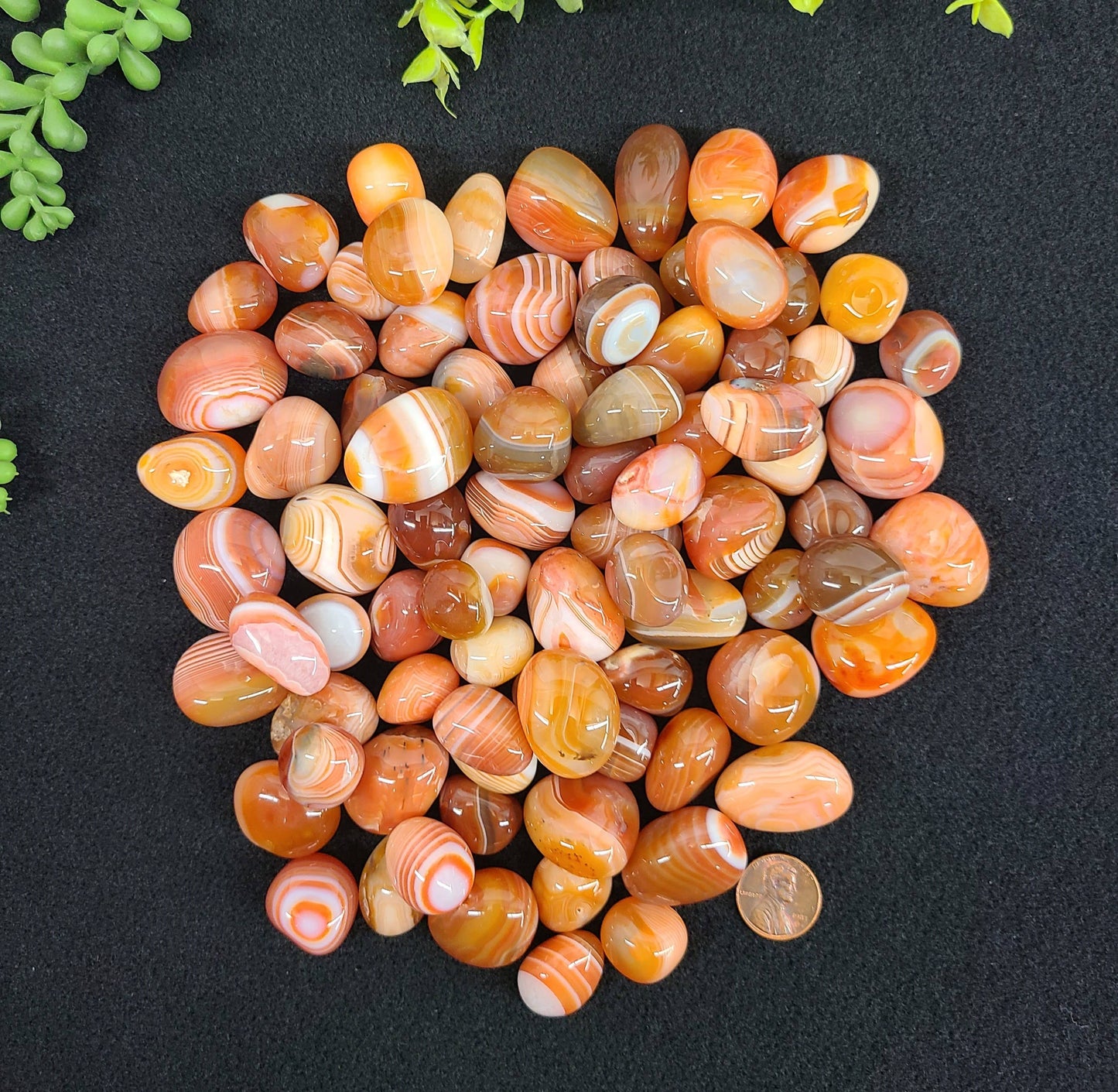 Banded Carnelian Tumbled Stone