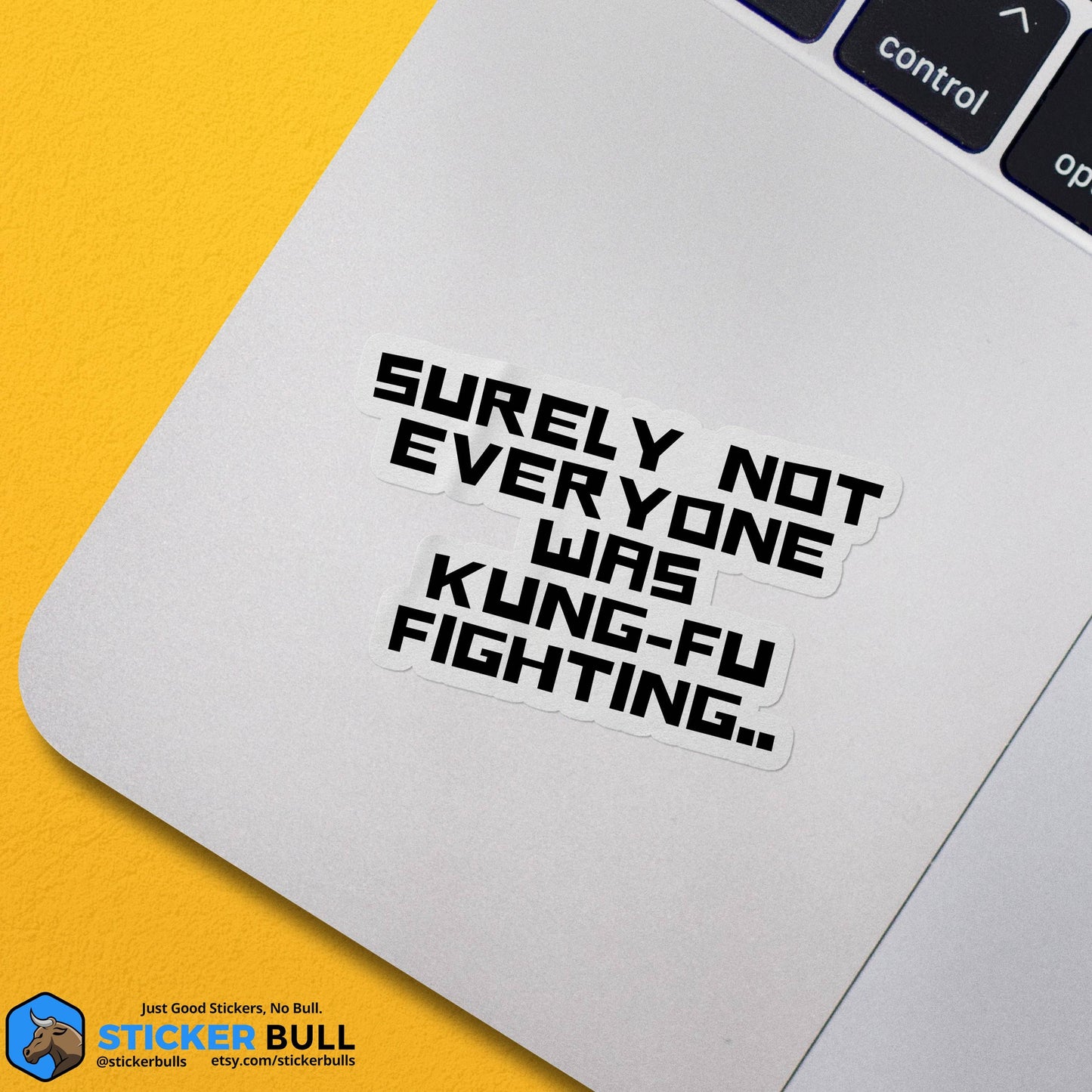 Surely Not Everyone Was Kung Fu Fighting Sticker, Funny Meme Sticker, Kung Fu Parody Sticker, Vinyl Sticker, Water Bottle, Hydroflask