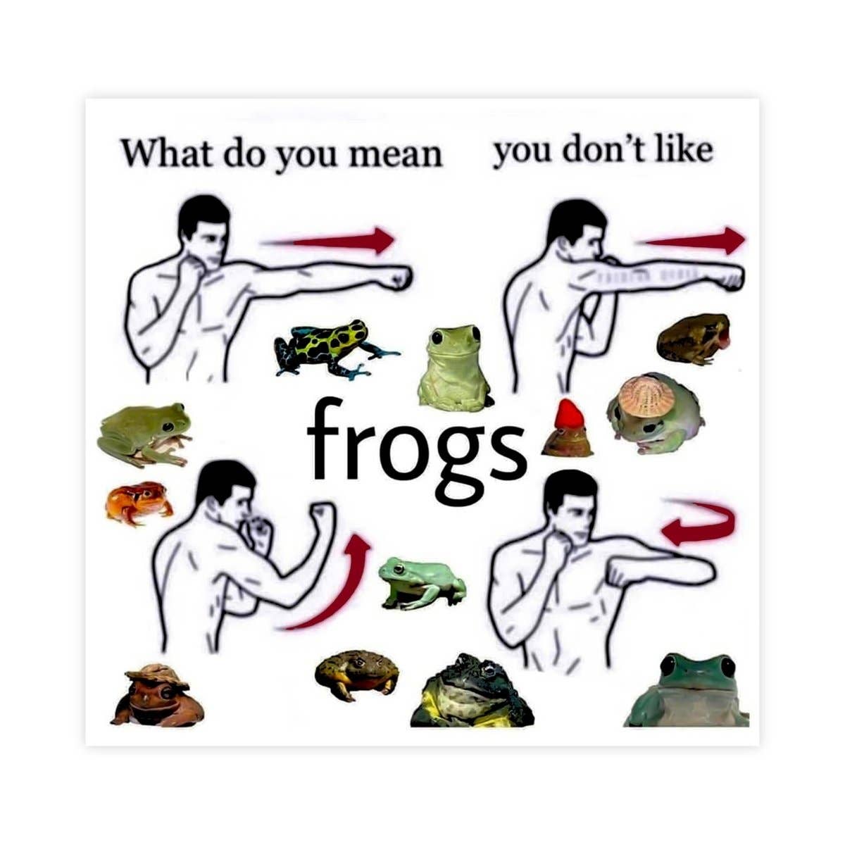 What Do You Mean You Don't Like Frogs Meme Vinyl Sticker