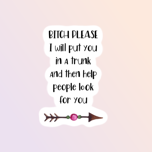 Bitch Please Funny Vinyl Sticker