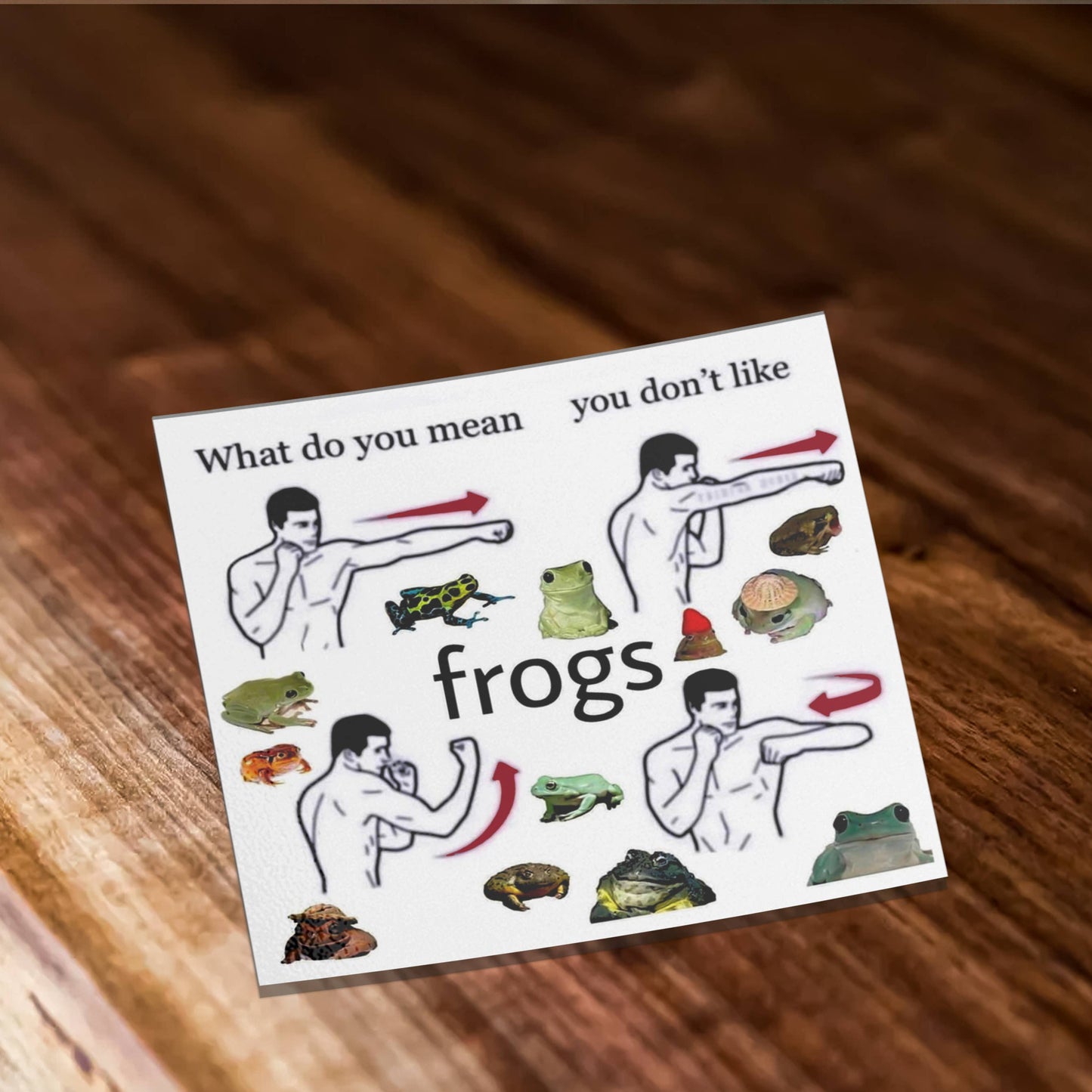 What Do You Mean You Don't Like Frogs Meme Vinyl Sticker