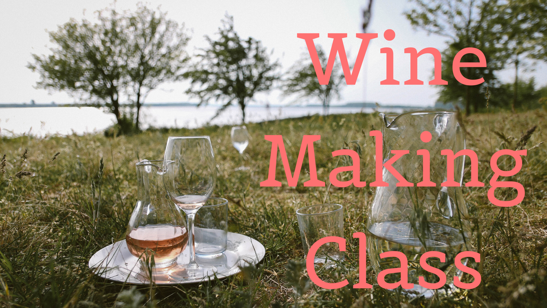 Wine Making Class
